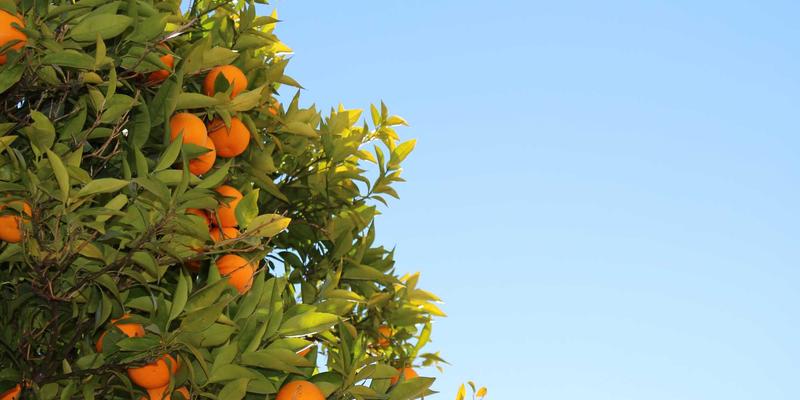 从深圳通大数据看城市未来：系统集成与安防系统如何重塑公共交通规划