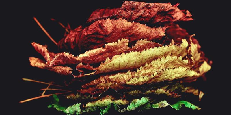 智能安防系统如何赋能深圳通：节假日大客流的压力测试与应急响应新范式