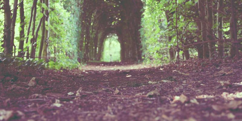 深圳通与70:智能控制如何重塑现代家居与安防新生态