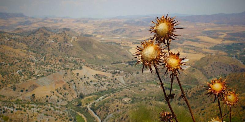 深圳通与共享单车联名卡：融合家庭自动化思维的绿色出行安防新体验