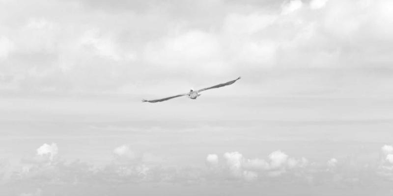 深圳通信用支付模式：从‘先乘后付’看系统集成如何重塑智能生活