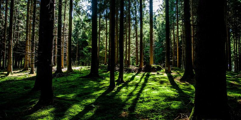 深圳通和11：以智能安防为核心，重新定义智慧家庭新生态