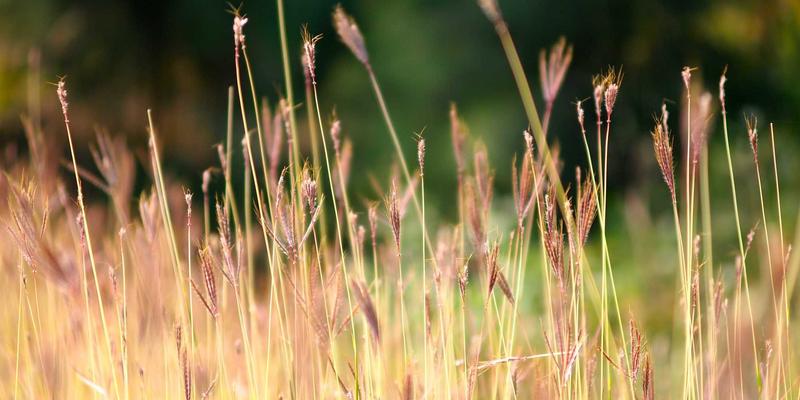 深圳通和智能家居系统：如何通过系统集成实现高效家庭自动化控制