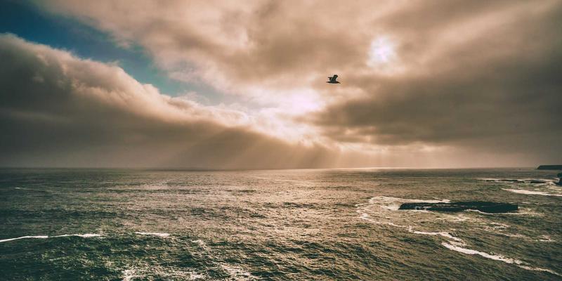 深圳通融合家庭自动化：打造长者智慧出行与居家安防一体化新方案